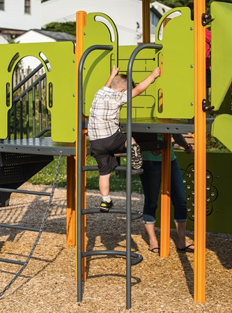 Loop Ladder