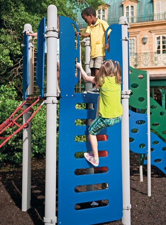 Panel Vertical Ladder