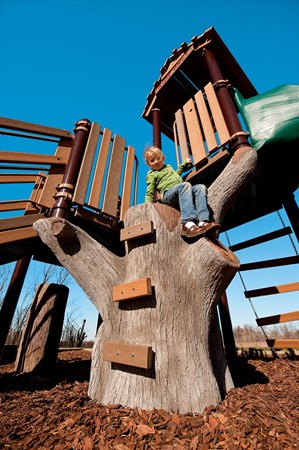Discovery Tree Climb™