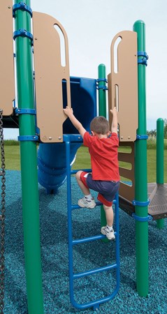 Vertical Ladder w/Permalene® Handholds