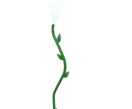 Water Weed