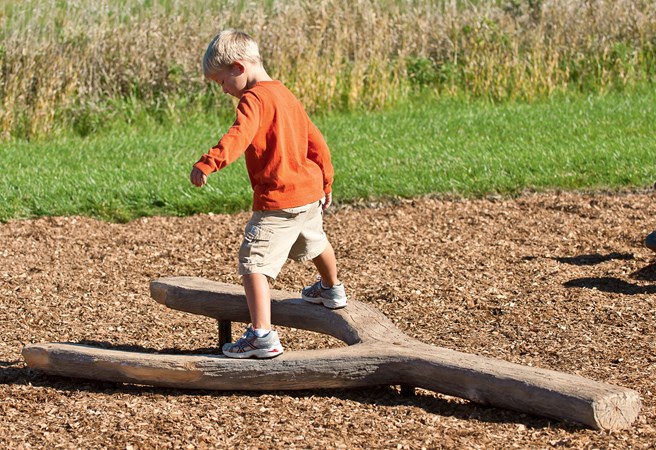 Log Balance Beam