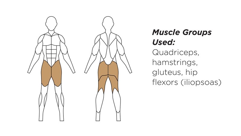 HealthBeat® Squat Press