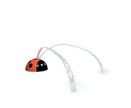 Lady the Bug
