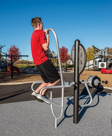 HealthBeat® Pull-Up/Dip