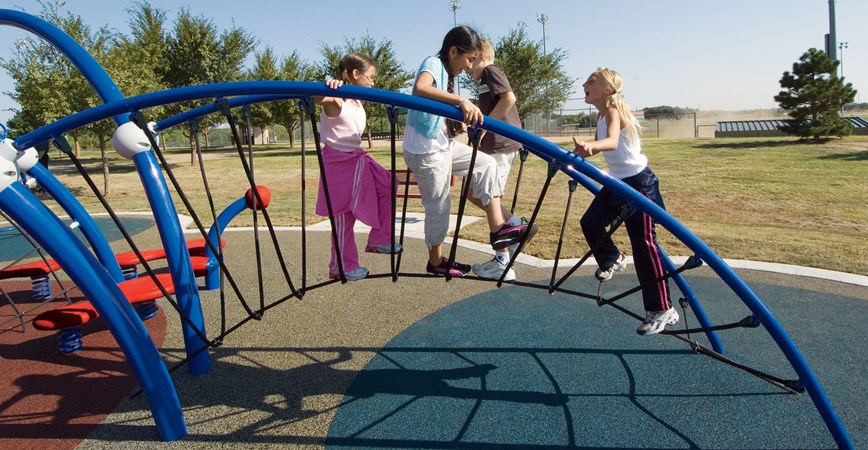 Crescent Climber®