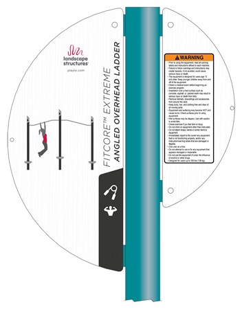 FitCore™ Extreme Angled Overhead Ladder (13+)