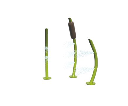 Reeds