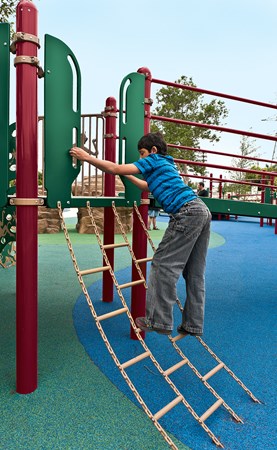 Chain Ladder w/Permalene® Handholds