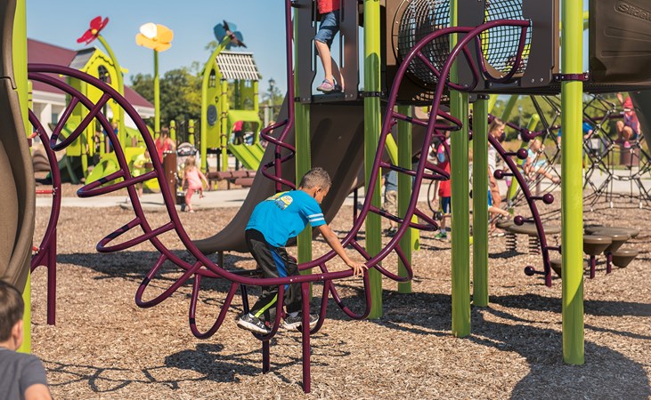 Double Wave Climber w/Permalene® Handholds