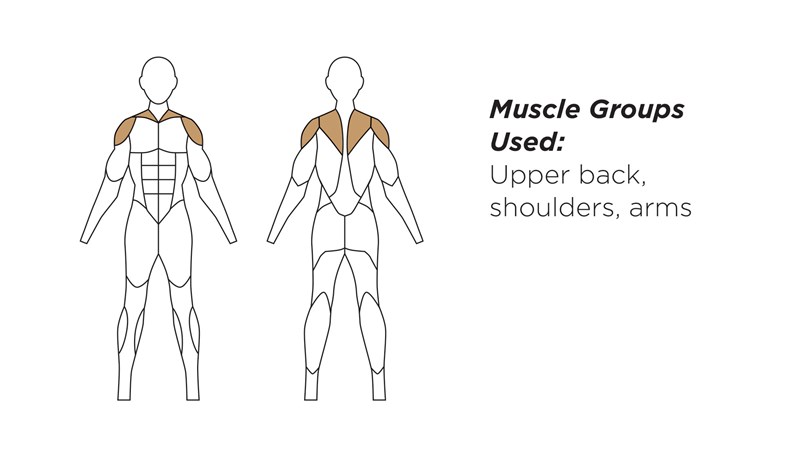 HealthBeat® Stretch