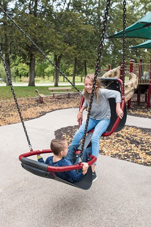 Friendship™ Swing with Single Post Swing Frame 52' Bury