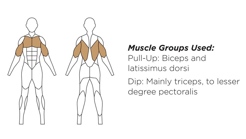 HealthBeat® Pull-Up/Dip