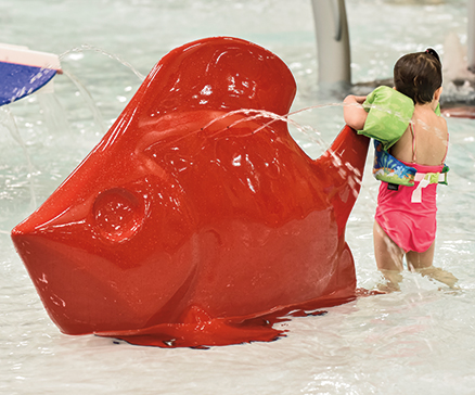 SplashPack Fish