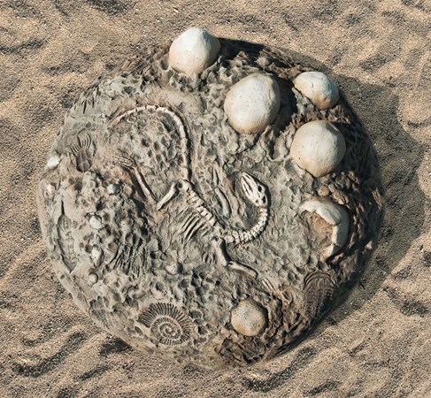 Fossil Digs Dino Eggs
