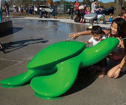 SplashPack Turtle