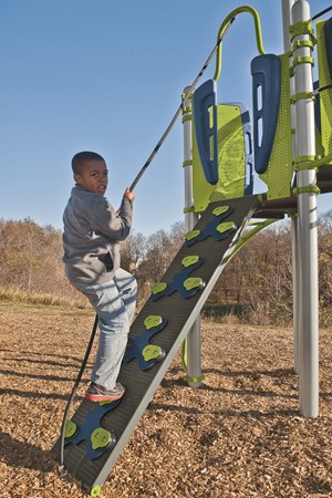 Cliff Climber w/Vibe® Handholds