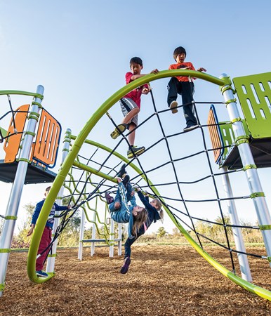 Flex Climber w/Permalene® Handholds