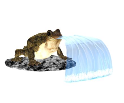 Fletcher the Frog
