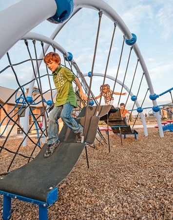 Belt-Zone™ Climber