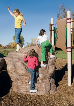 The Pointe™ Rock Climber