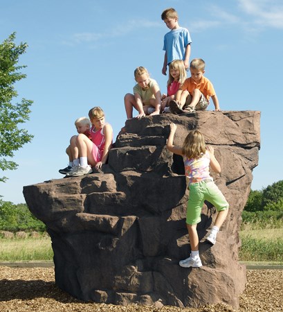 The Pinnacle™ Rock Climber